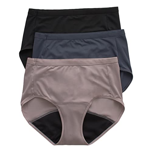 Hanes Women's Fresh & Dry Period Brief Underwear, Pack of 3