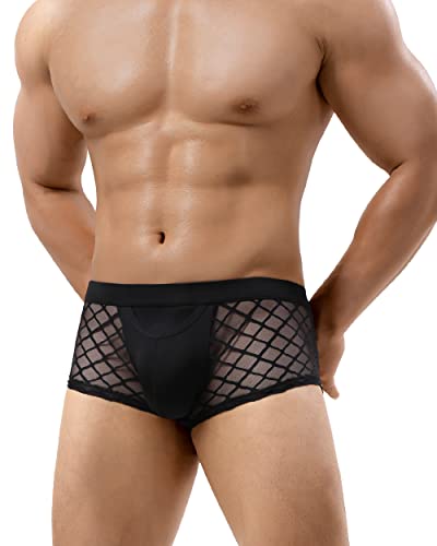 Sexy See Through Lace Boxer Briefs Mesh Trunks
