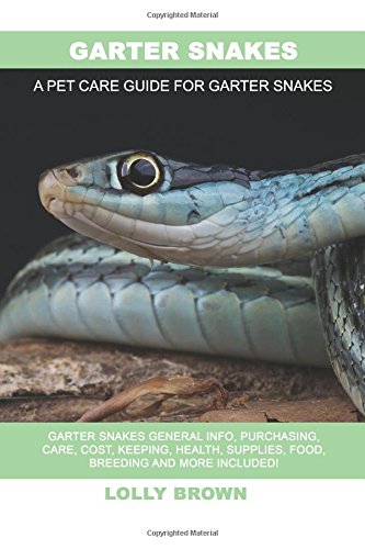 Garter Snakes Care Guide