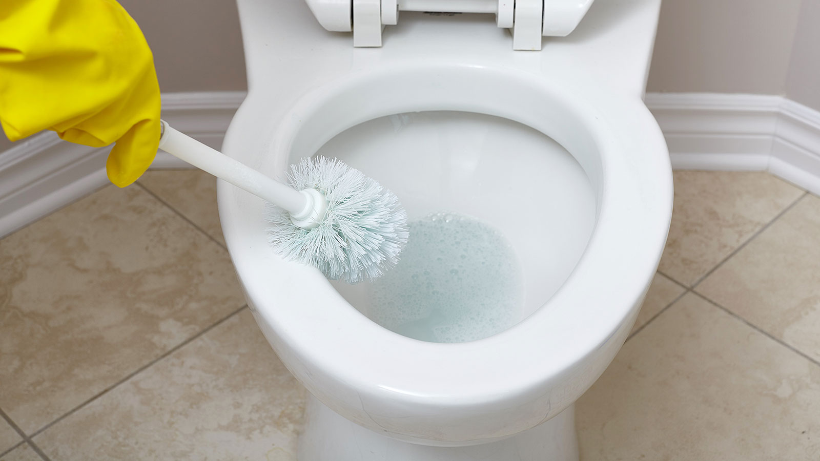 How To Get Rid Of Poop Stain In Toilet Bowl
