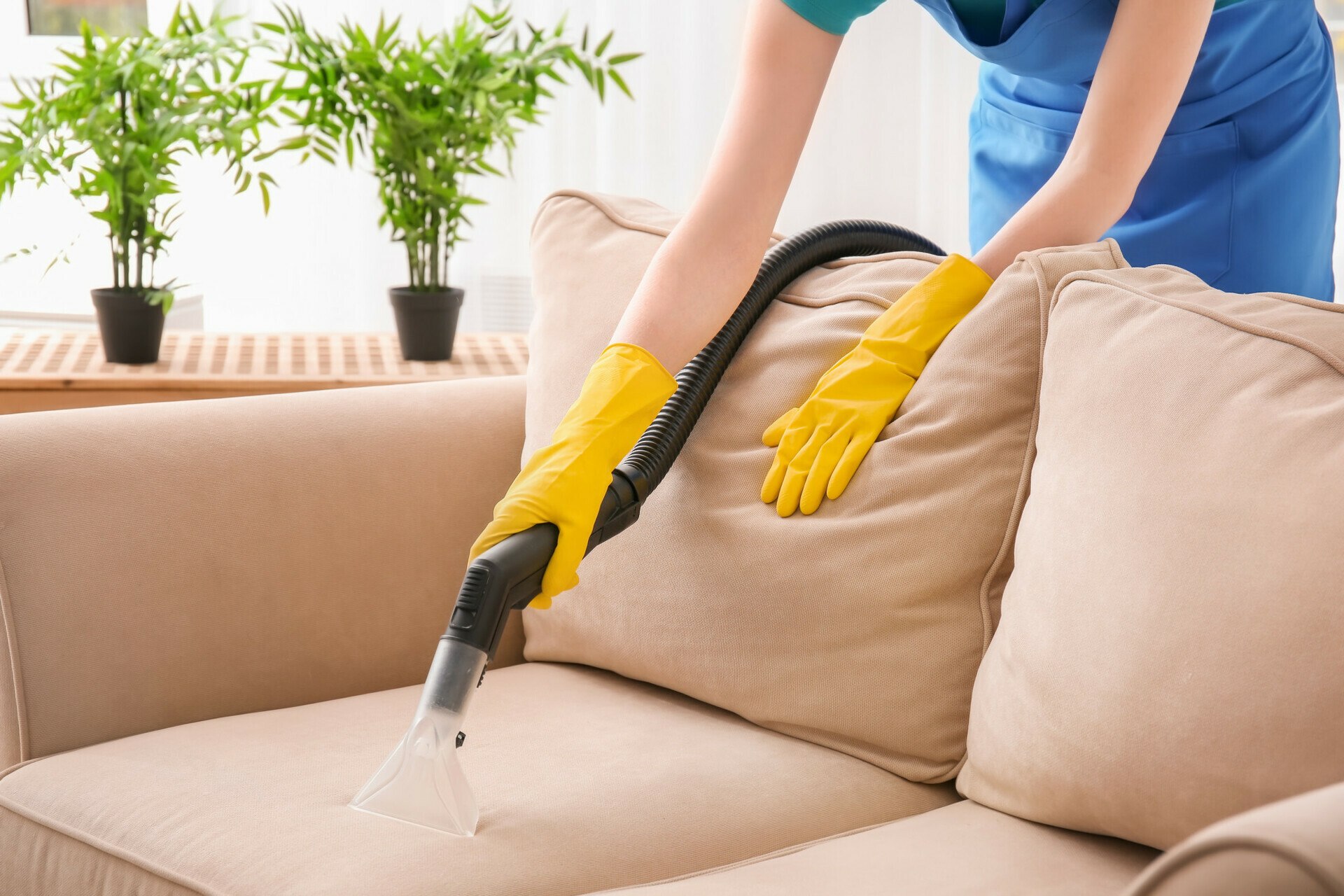 How To Remove Poop Stain From Couch