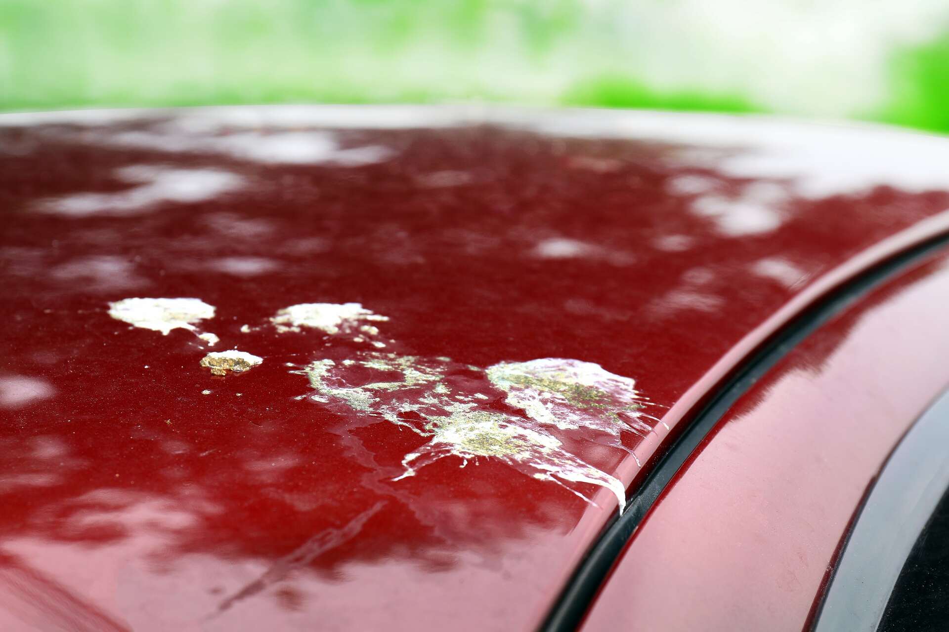 How To Take Off Bird Poop Stain Off Car